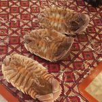 夕飯の食材にダイオウグソクムシ。全然食欲そそらない。