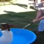 【閲覧注意】ヤギの首を切り落として遊ぶ大学生のグロ動画。