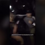 男に殴りかかった女、ワンパンKOされてしまう。