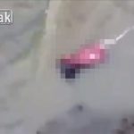 【閲覧注意】望まれなかった赤ちゃん、下水に流されたグロ動画。