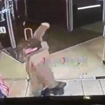 【閲覧注意】公園で口論となり、ヤバイ男に殺されたグロ動画。