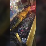 タイの屋台で売られている食べ物。インパクトが半端ない。