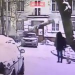 不運すぎるアクシデント。倒木に当たって死亡した21歳の女性。