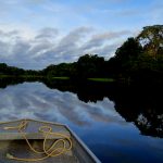 【閲覧注意】川で遊んでて “最も出会いたくない” もの。