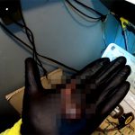 海で釣りしてたら “変な生き物” 釣れた。海には不思議がいっぱい。