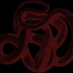 【閲覧注意】超巨大なヘビの腹を裂いてみた結果 → 中から出てきたのは・・・。