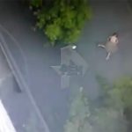 おばあちゃんを刺し殺した男、窓から飛び降り自殺する動画。