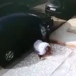 ブラジルでは評議員になるのも命がけ。殺し屋に殺害される動画。