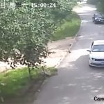 トラに襲われて死亡。サファリパークの動画。