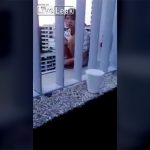 レ●プされた女の子、6階から飛び降りて自殺。