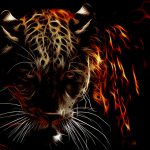 飼っていた犬が “大型の肉食獣” に殺されてしまった･･･。