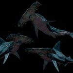 海外のDQN、サメにとんでもない虐待をして炎上。