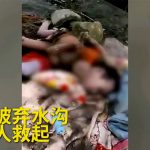 村にある穴に捨てられた、身体障害者の女の子。