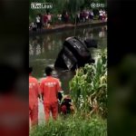 【閲覧注意】川に落ちた車を回収した結果、中からとんでもないものが･･･。