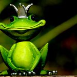 【閲覧注意】アジアの “マーケット” ってほんとグロいわ･･･。