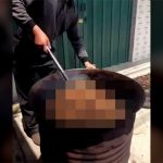 【閲覧注意】中国人、秋祭りのために大量の “とある生き物” を丸焼きに･･･。