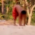 親に捨てられ “犬に育てられて” 15年が経った結果･･･。