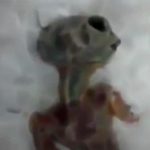 ロシアで “宇宙人の死体” が発見されてしまう。