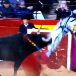 【閲覧注意】闘牛士、”肛門” に角を挿されて宙を待ってしまう。