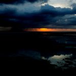 【閲覧注意】ブラジル、夜のビーチに “ヤバイもの” が漂着してしまう。