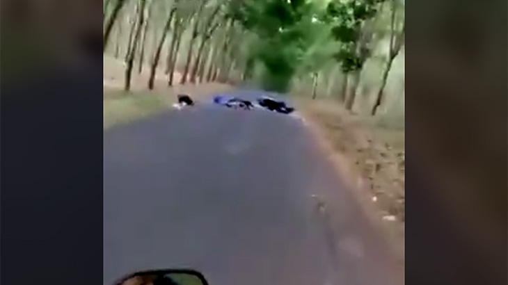 【閲覧注意】道路に横たわる人の死体 → そのまま通り過ぎる人々。