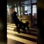 酔っ払った15歳のDQN少年、警察官をボコボコにしてしまう。