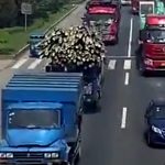 “竹を何本も積んだトラック” にはお気をつけください･･･。