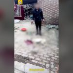 【閲覧注意】中国人、犬を “オモチャ” としか思ってない。