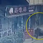 【衝撃映像】もはやどこにいても “死ぬ可能性が高い” 中国という国。