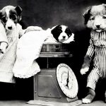 “2本足で歩く犬” の芸。裏ではこんなことが行われている。