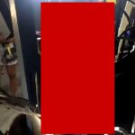 【閲覧注意】柵に “串刺しになった猫” の救出動画。