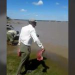 【衝撃映像】絶対に入ってはいけない川に “肉の塊” を投げてみた結果･･･。