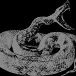 【閲覧注意】飼い犬がいなくなっていた。代わりに大きなヘビが･･･ということは･･･。