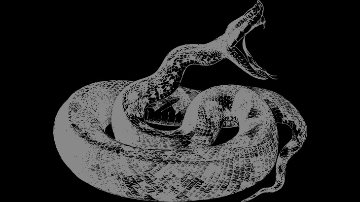 【閲覧注意】飼い犬がいなくなっていた。代わりに大きなヘビが･･･ということは･･･。