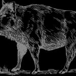 【衝撃映像】”野生のイノシシ” を見たらすぐに逃げたほうがいい。