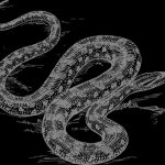 【閲覧注意】5人が死亡した事故の原因は “巨大なアナコンダ” だった。