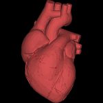 【超！閲覧注意】事故で “胸が開いてしまった” 男性のグロ動画･･･。