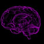 【超！閲覧注意】脳ミソ丸見え、ウジ虫が這い回るも “まだ生きている” グロ動画。