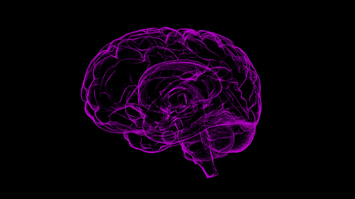 【超！閲覧注意】脳ミソ丸見え、ウジ虫が這い回るも “まだ生きている” グロ動画。