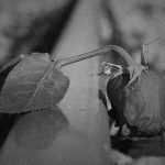 【閲覧注意】恋人同士の男女、一緒に自殺したその方法がヤバイ。