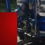 【閲覧注意】ボートのスクリューに巻き付いた “この肉片” 、なんだか分かりますか？