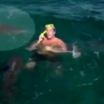 【閲覧注意】オランダのTV、”サメに噛まれる人間” を生放送してしまう。