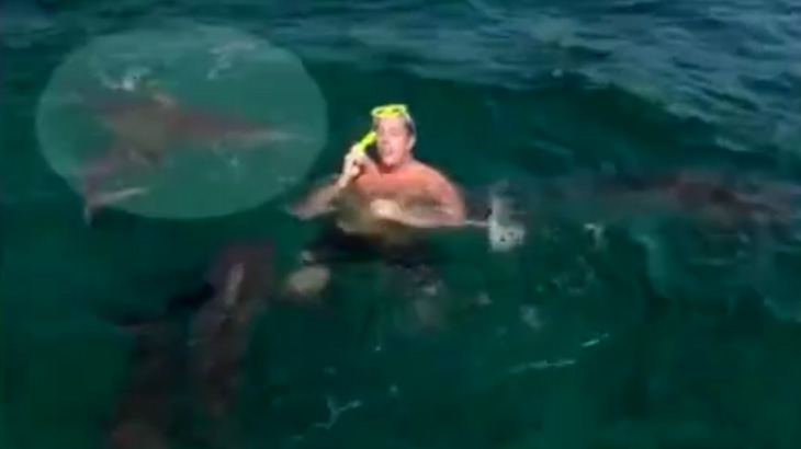 【閲覧注意】オランダのTV、”サメに噛まれる人間” を生放送してしまう。