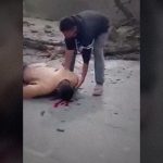 【閲覧注意】街路樹を伐採する業者、通行人を殺してしまう。