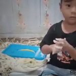 ペットの身体を洗う女の子。ただしペットは「ワニ」と「ヘビ」。