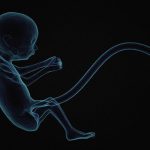 【超！閲覧注意】妊婦がバスに轢かれた、恐ろしいグロ動画･･･。