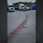 【超！閲覧注意】人間がトラックに “数十メートル” 引きずられたグロ動画･･･。