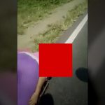 【閲覧注意】バイク事故で死んだ女性の “この顔” は一体どうなっているのだろう･･･。