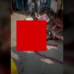 【閲覧注意】車に轢かれ、頭を潰されてしまったグロ動画。