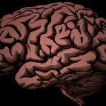 【超！閲覧注意】バイク事故を起こした女性、脳ミソ飛び出てるグロ動画･･･。